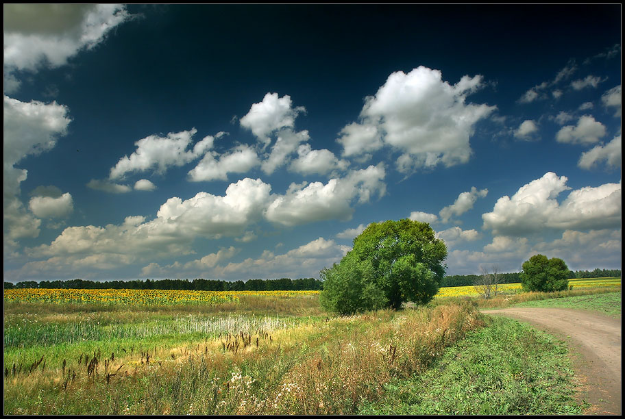 photo "Лето. Август 2007, фото, пейзаж" tags: landscape, clouds, summer