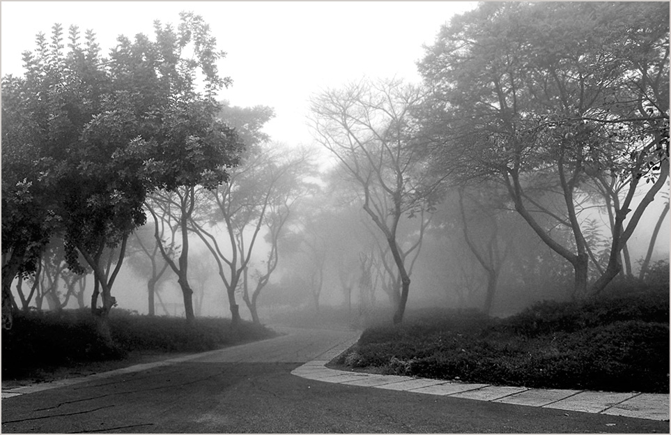 photo "***" tags: nature, black&white, 