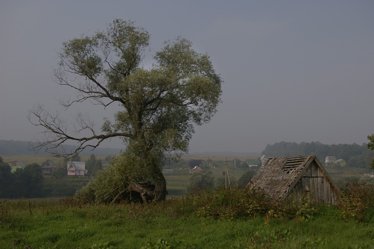 photo "***" tags: landscape, summer