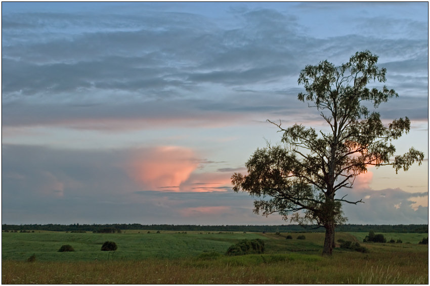 photo "Evening" tags: landscape, summer, sunset