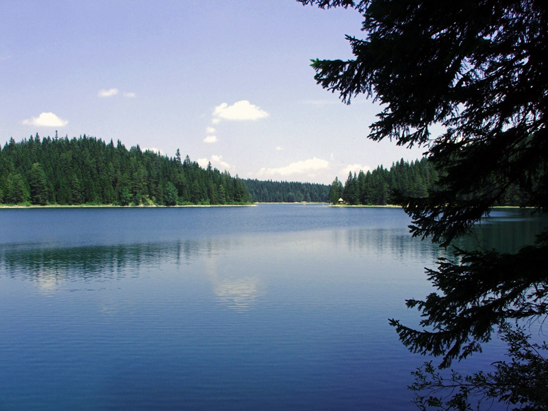 photo "Glacier lake" tags: landscape, water