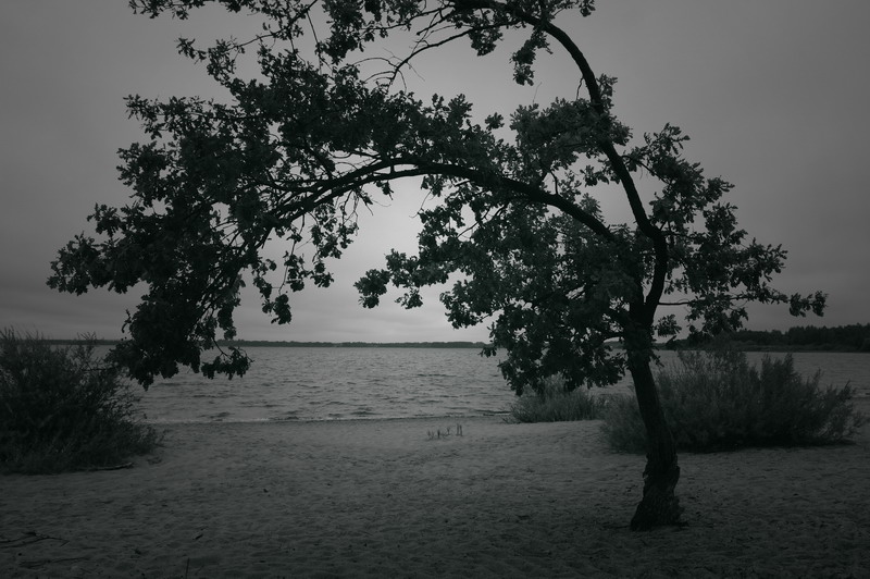 photo "***" tags: landscape, 
