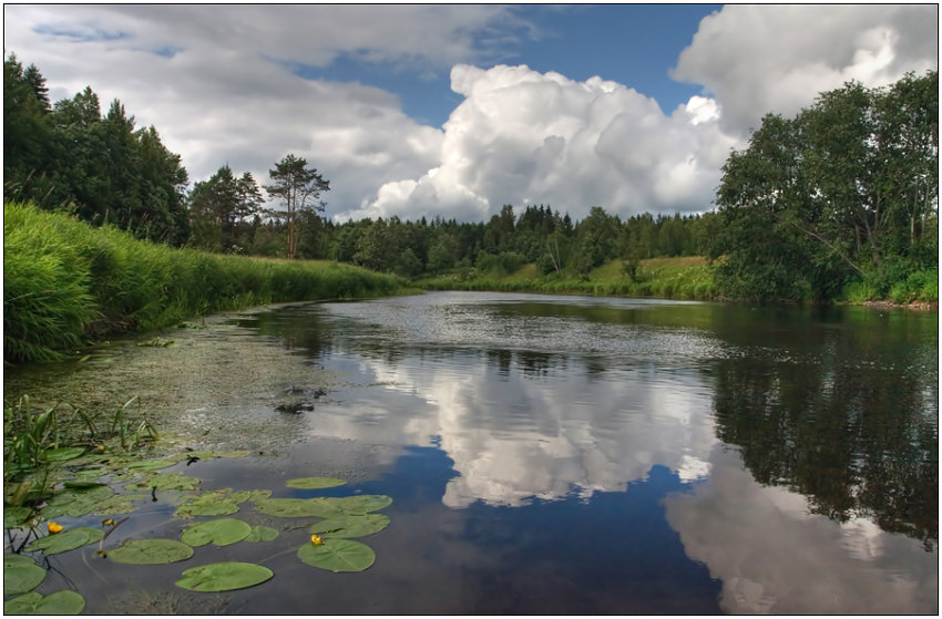 фото "И облака в реке купались" метки: пейзаж, вода, облака