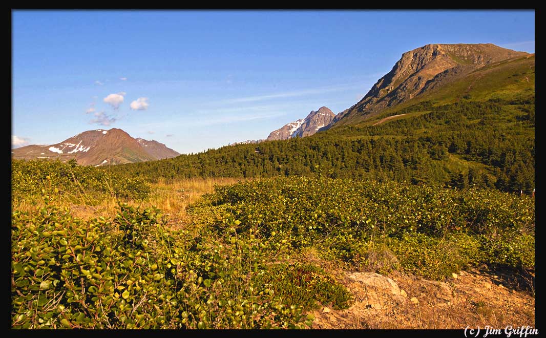photo "Chugach Mountains of Anchorage, Alaska" tags: landscape, mountains, summer