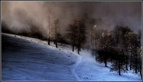 photo "Pathway" tags: landscape, mountains