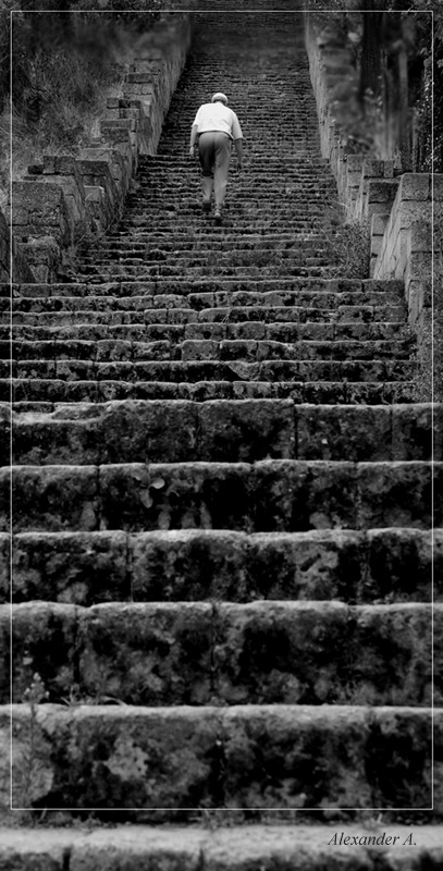 photo "Life is a ladder" tags: black&white, 