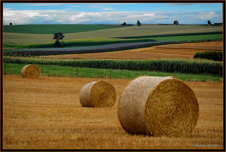 фото "my country" метки: пейзаж, лето