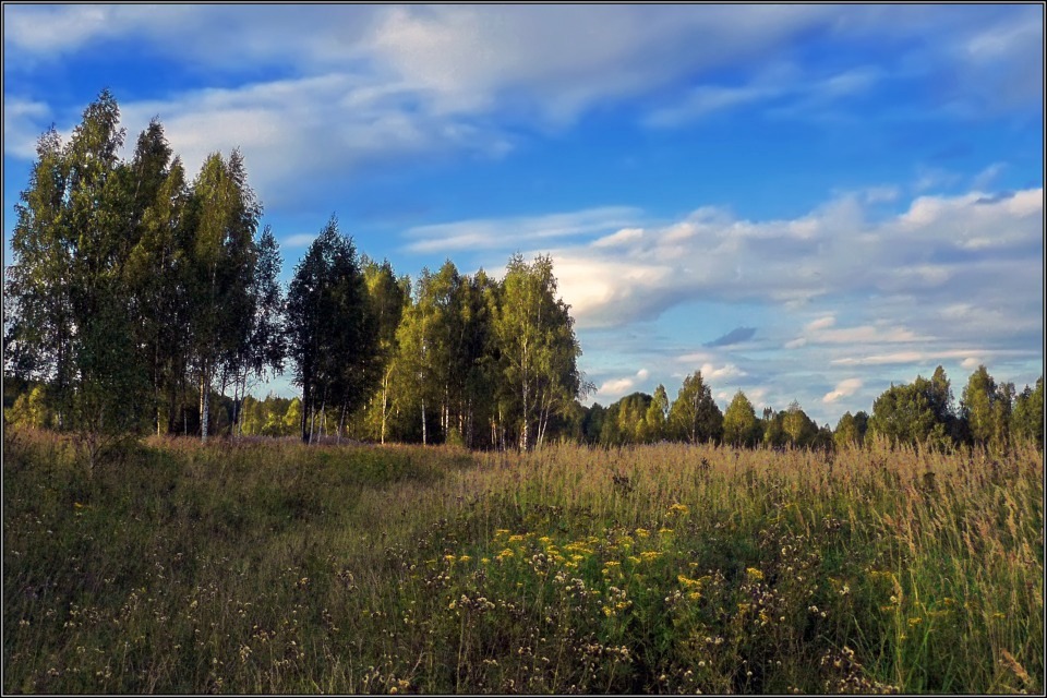 photo "Flowers for Autumn" tags: landscape, summer