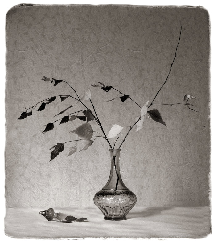 photo "***" tags: still life, montage, 