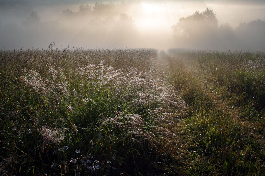 фото "Утренние дали" метки: пейзаж, закат