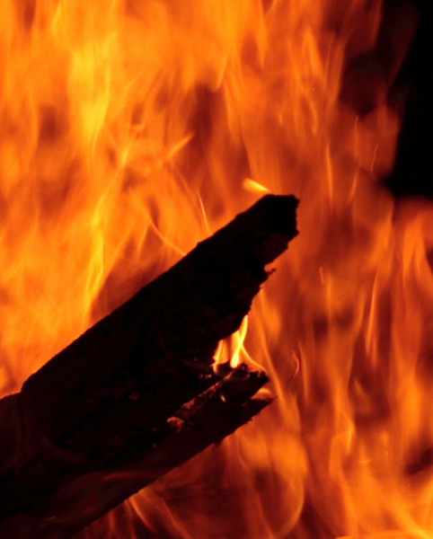 фото "Into the flame" метки: абстракция, природа, 