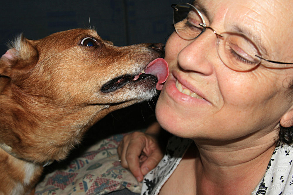 photo "the kiss" tags: nature, pets/farm animals