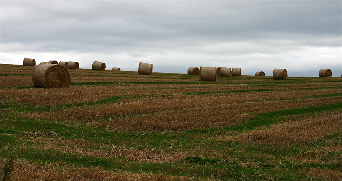 photo "After a haymaking" tags: landscape, 