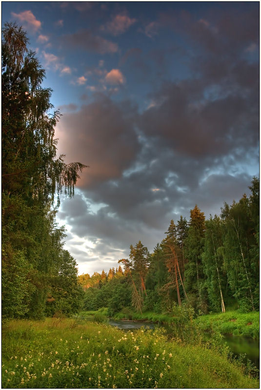 photo "In the middle of a dense forest" tags: landscape, forest, sunset