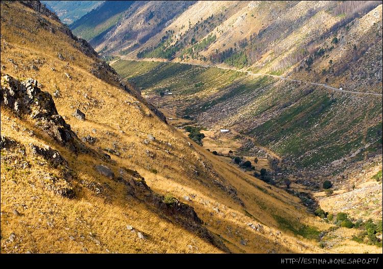 фото "Glacier Valley" метки: , 