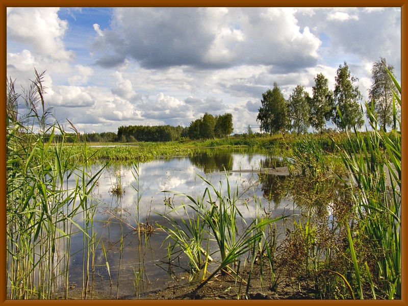 photo "***" tags: landscape, summer, water