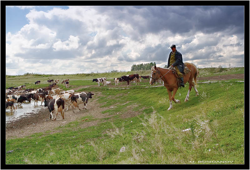 photo "Cowboy" tags: genre, 