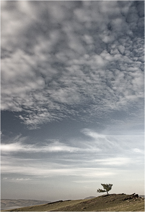photo "***" tags: landscape, summer