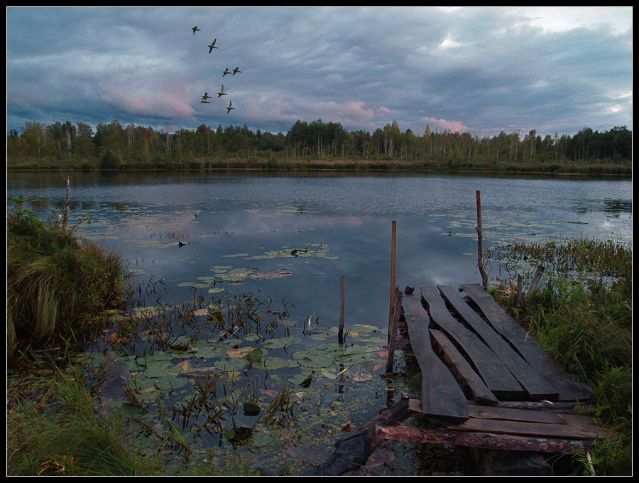 фото "Время перелета" метки: пейзаж, вода, закат