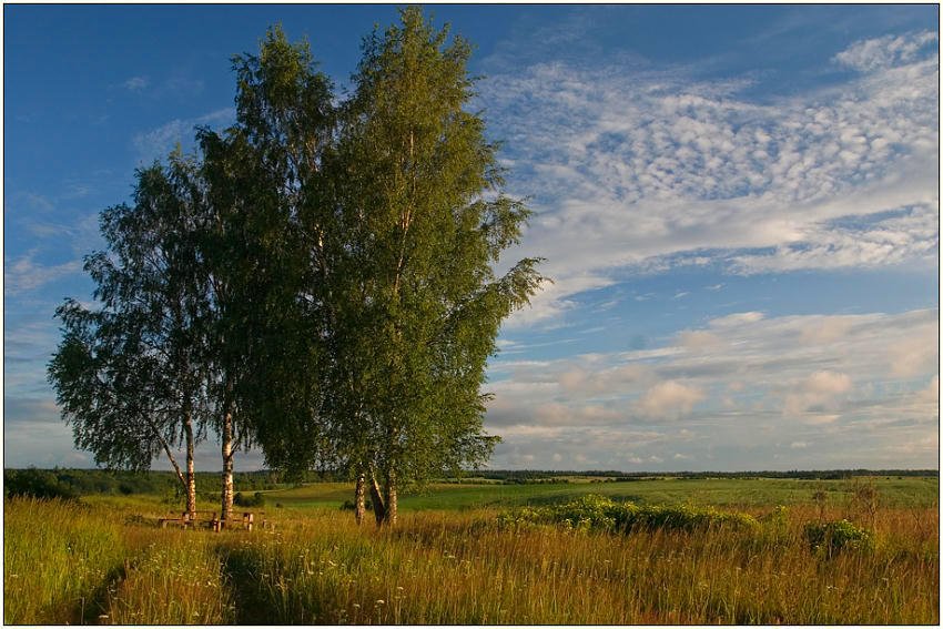 photo "Lonely a place" tags: landscape, clouds, summer