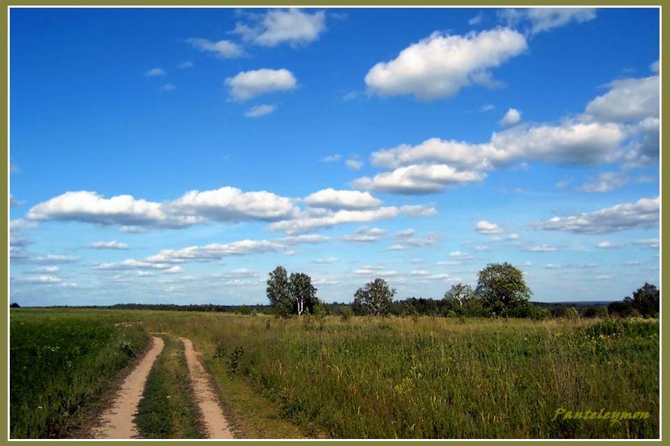 photo "***" tags: landscape, summer