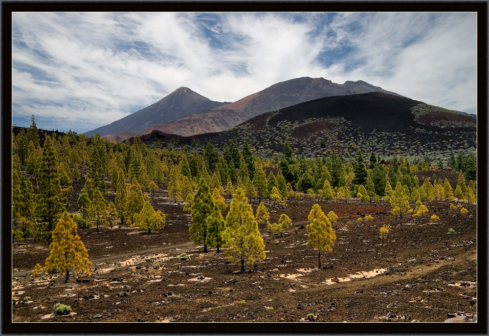 photo "***" tags: landscape, mountains