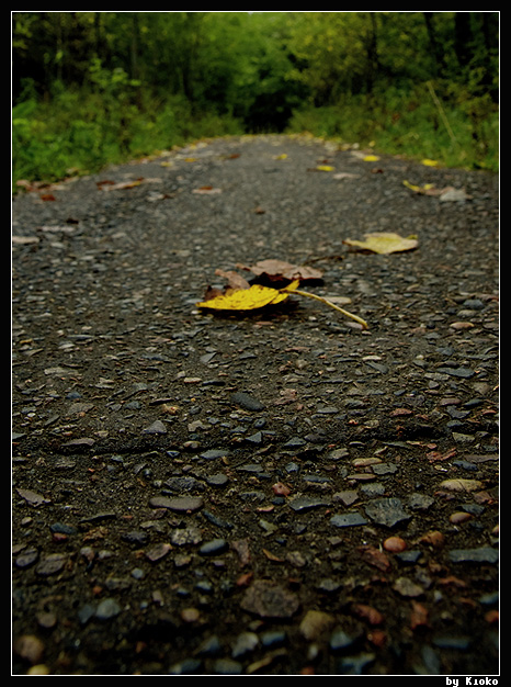 photo "***" tags: landscape, misc., 