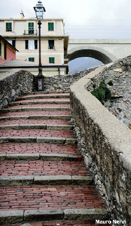 photo "bogliasco, Italy" tags: landscape, 