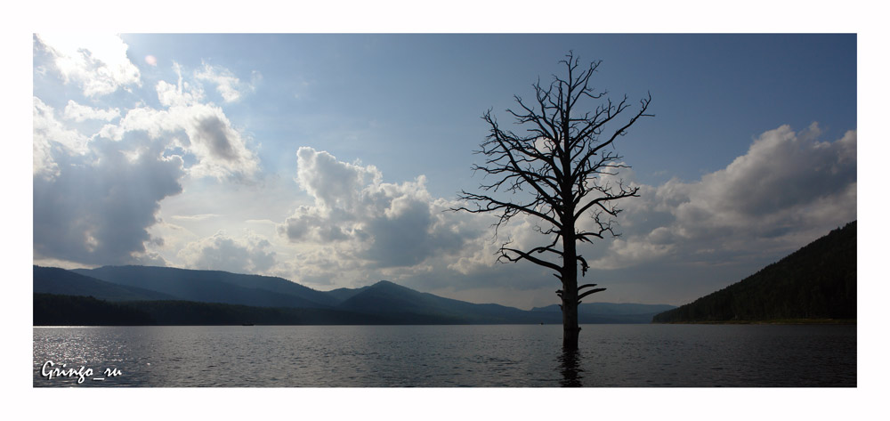 photo "***" tags: landscape, water