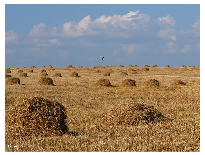 photo "***" tags: landscape, autumn