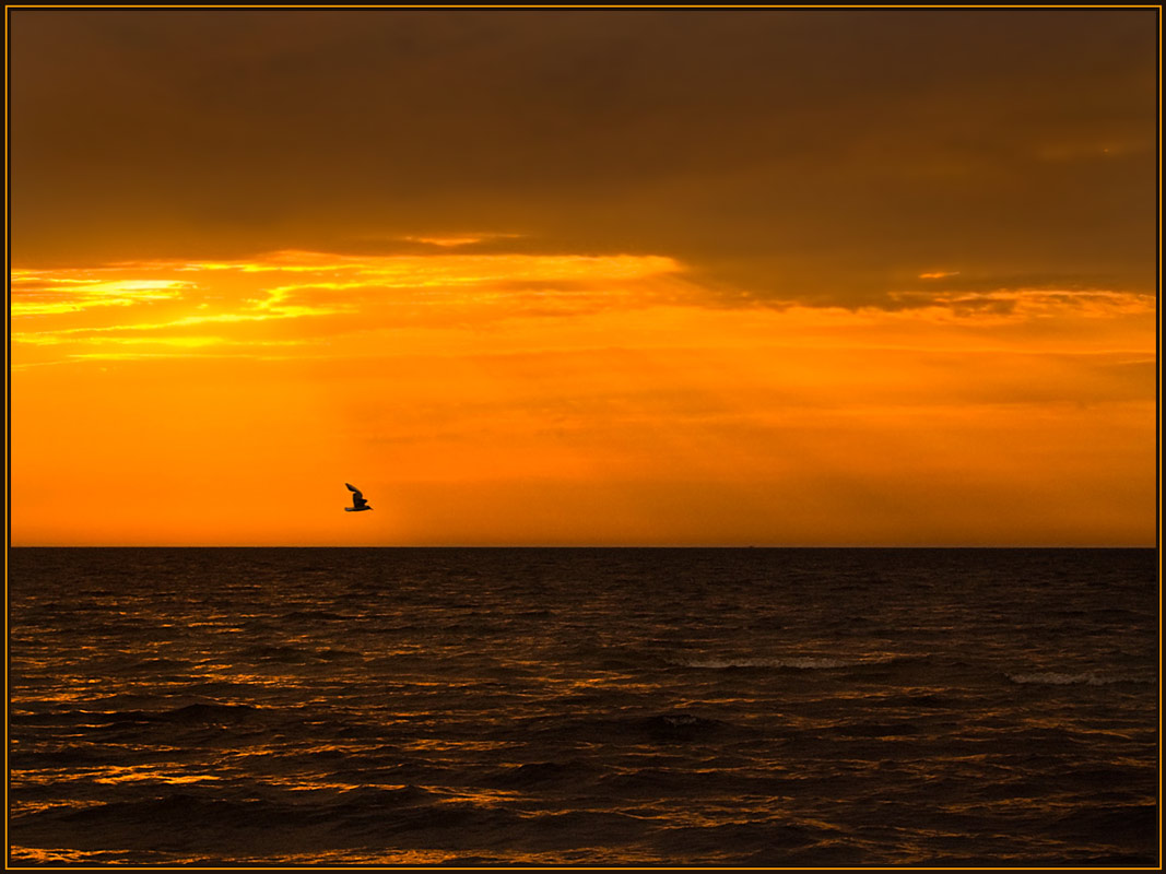 photo "The flight" tags: misc., landscape, sunset