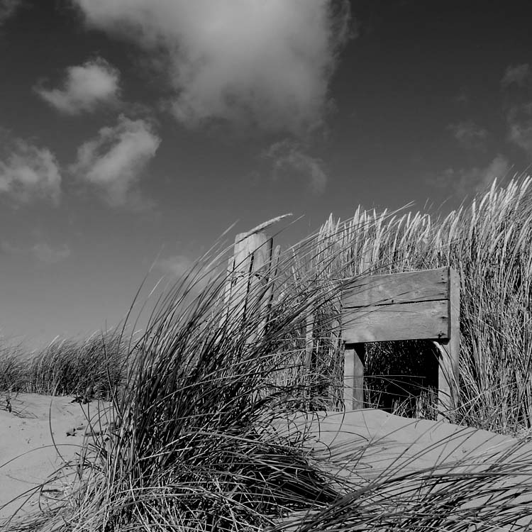 photo "***" tags: black&white, landscape, clouds