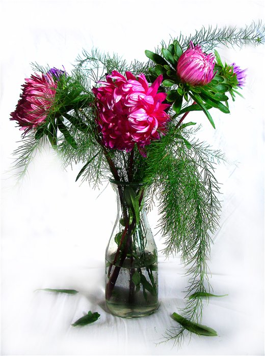 photo "***" tags: still life, 