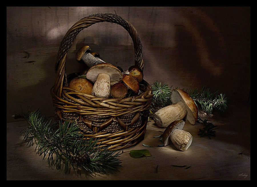 photo "***" tags: still life, 