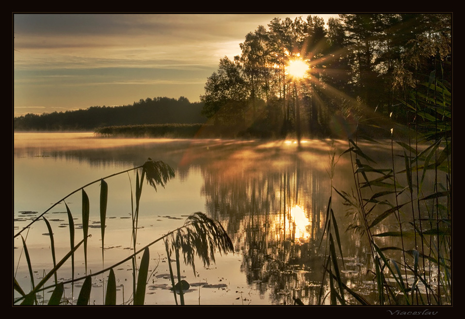 photo "Gold morning." tags: landscape, sunset, water