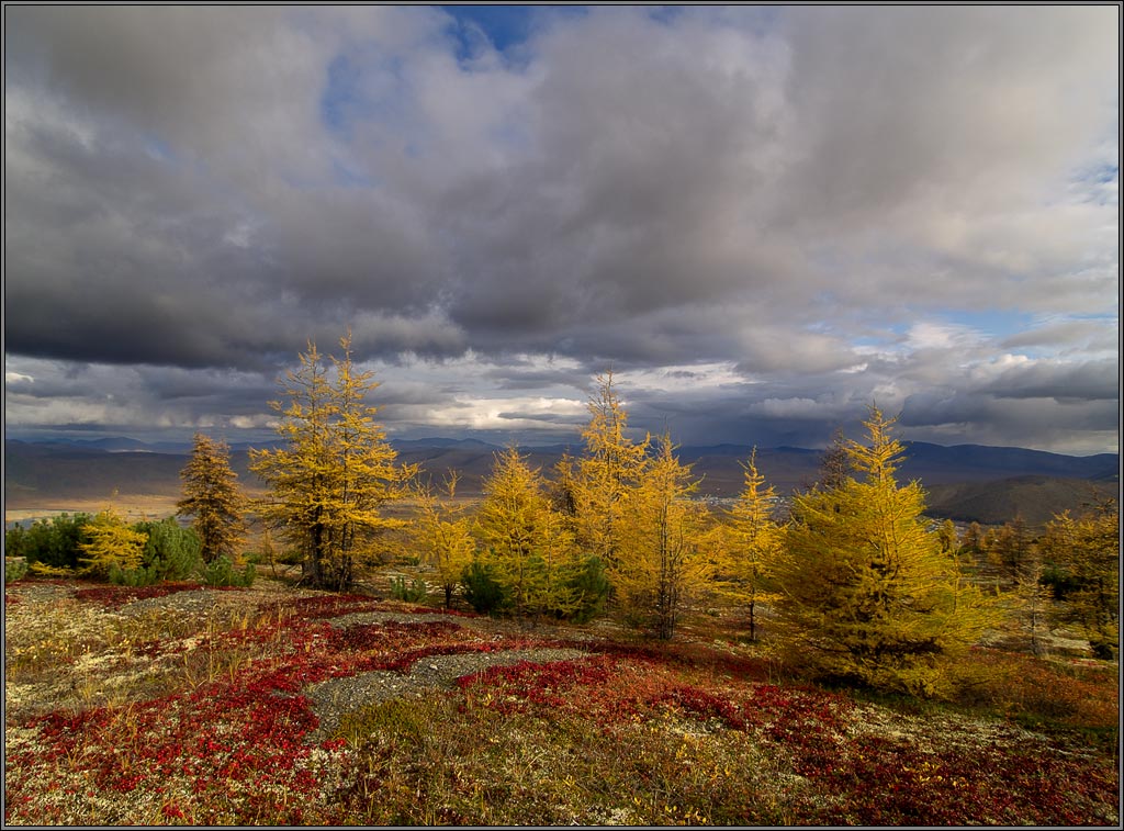 photo "Contrast of Fall" tags: landscape, forest, mountains