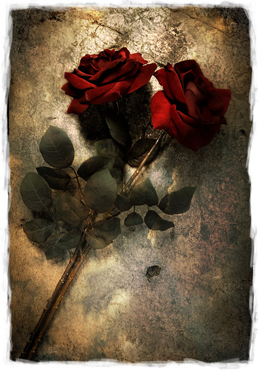 фото "For You Miguel...  Forever" метки: , 