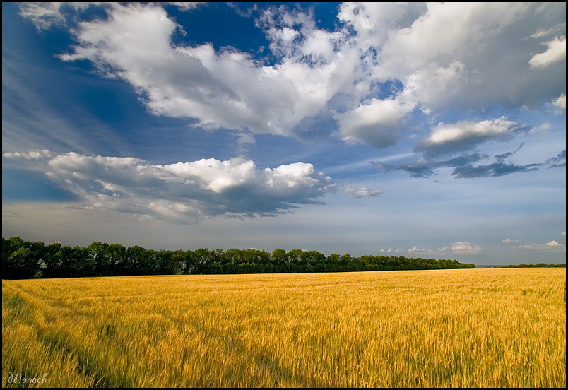 photo "Harmony. Heaven and earth" tags: landscape, summer, sunset