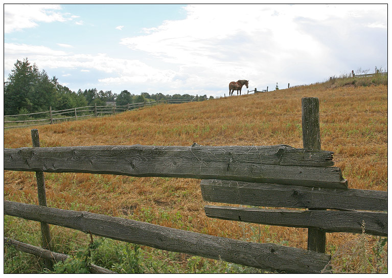 photo "***" tags: landscape, autumn