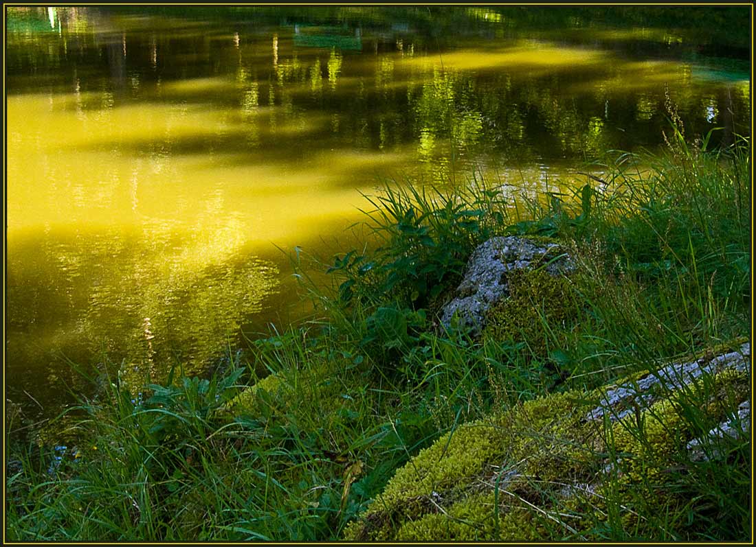 фото "Желтая вода" метки: пейзаж, вода