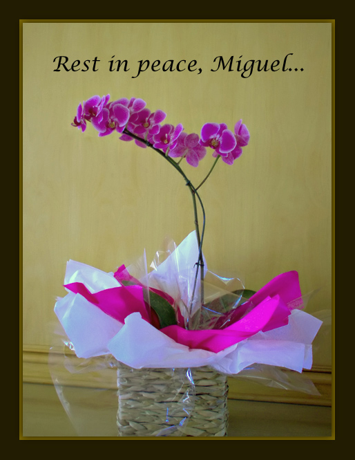 photo "For Miguel...whit love" tags: , 