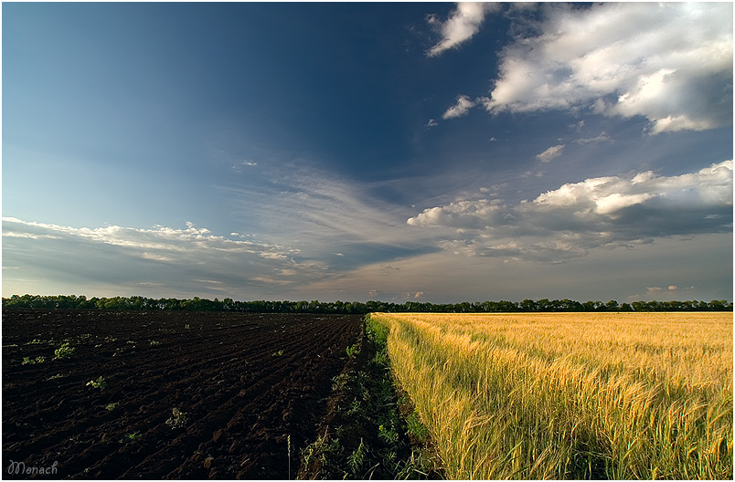 photo "Philosophy land" tags: landscape, summer