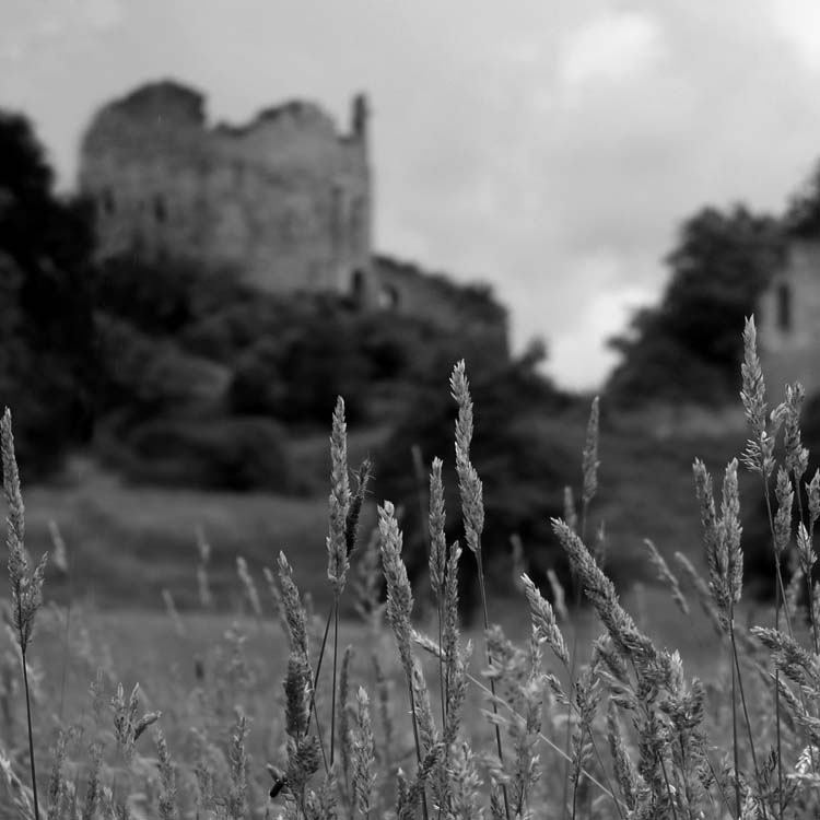 photo "Hawarden Castle" tags: architecture, black&white, landscape, 