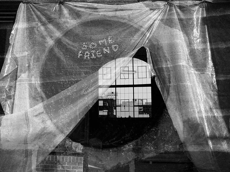фото "harlot's Web" метки: жанр, фотомонтаж, 