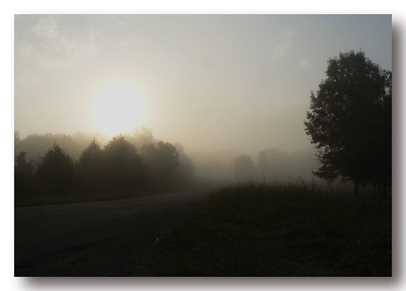 photo "Morning Watercolours / Утренние акварели." tags: landscape, autumn