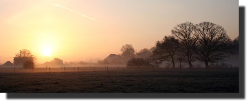 photo "Yellow pink." tags: landscape, nature, sunset