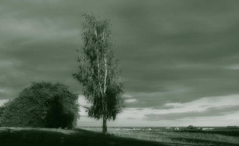 photo "***" tags: landscape, 