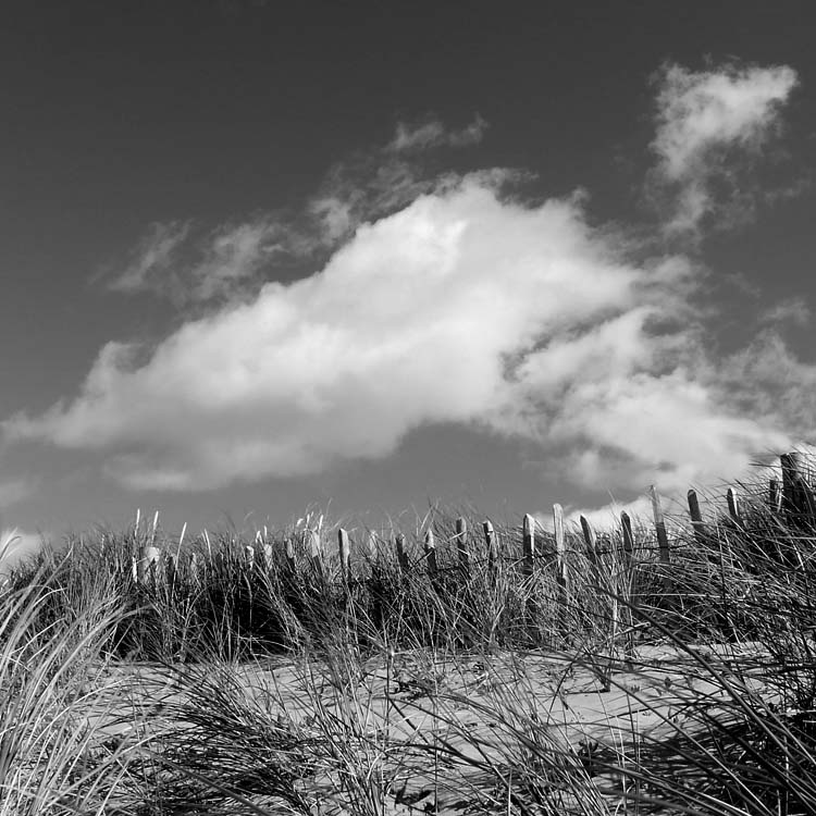 photo "***" tags: landscape, black&white, clouds