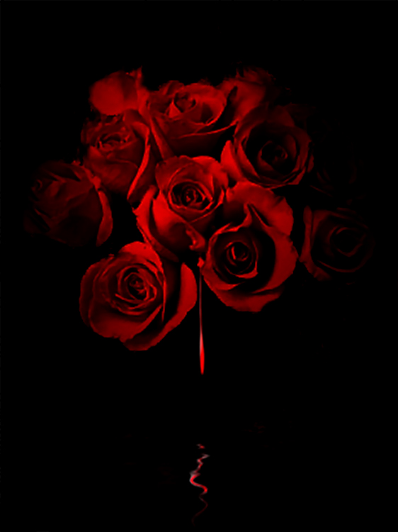 фото "When the Roses Cry" метки: , 