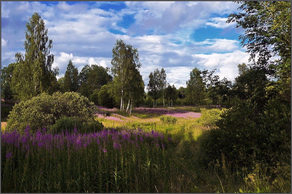 photo "Silence of Summer" tags: landscape, summer